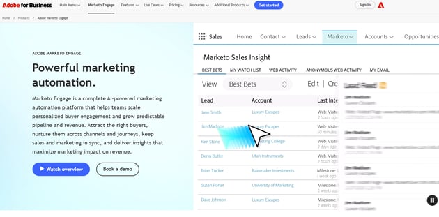 Adobe Marketo Engage marketing automation interface showing lead and account insights to support scoring and nurturing.